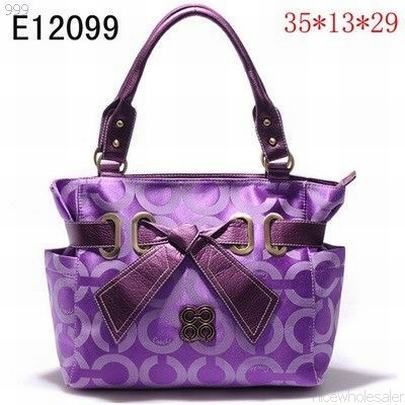 Coach handbags121